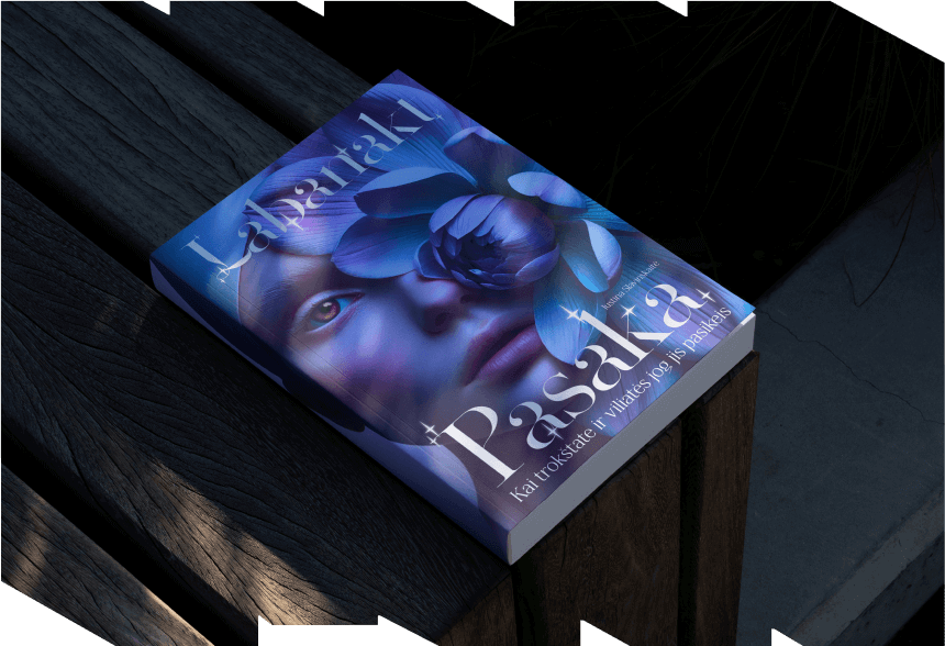 Main portfolio image